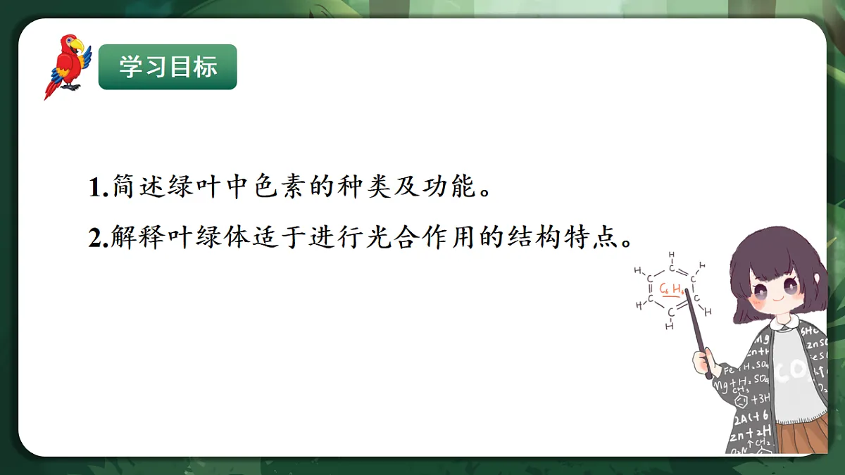 人教版（2019）高中生物必修一5.4.1 捕获光能的色素和结构 精讲课件第2页