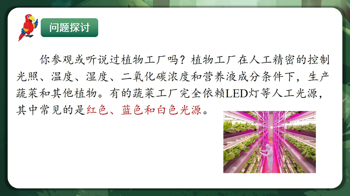 人教版（2019）高中生物必修一5.4.1 捕获光能的色素和结构 精讲课件第4页