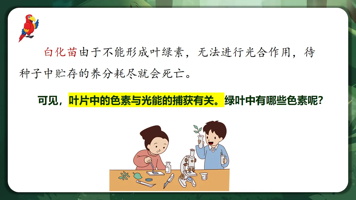 人教版（2019）高中生物必修一5.4.1 捕获光能的色素和结构 精讲课件第7页