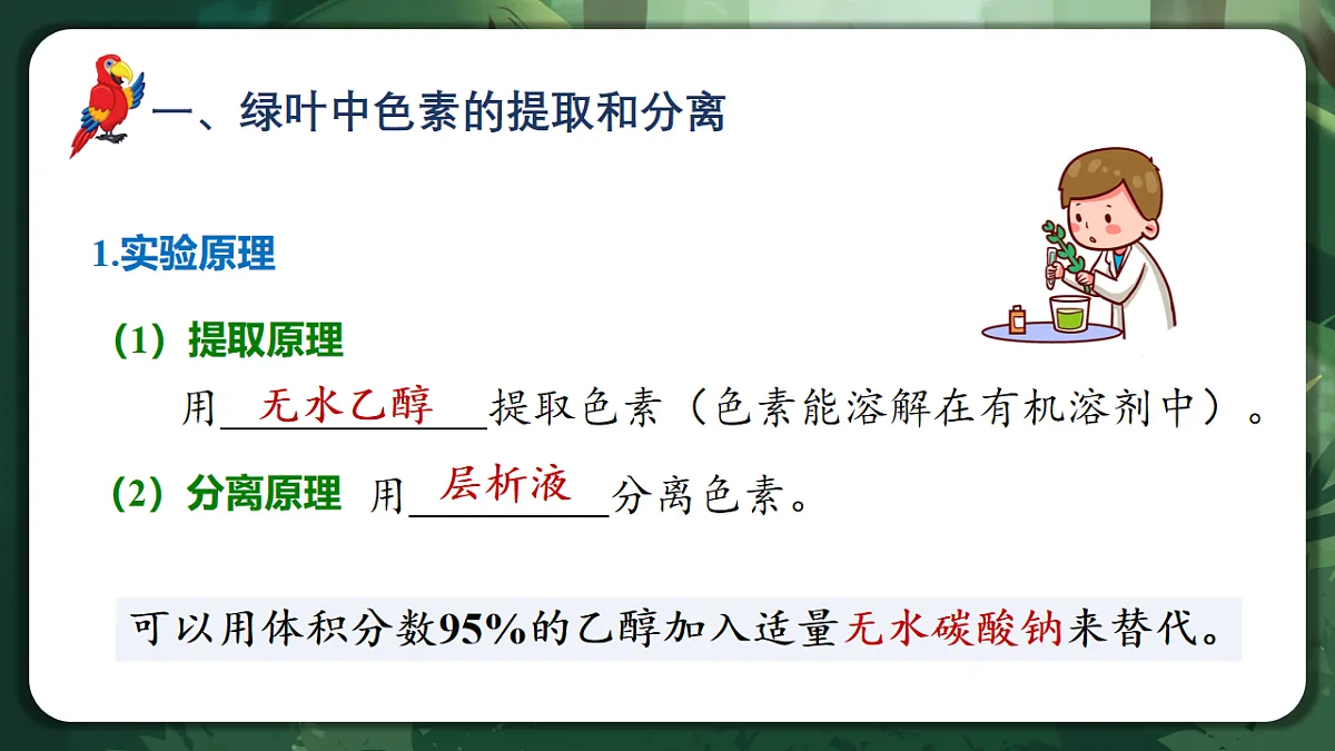 人教版（2019）高中生物必修一5.4.1 捕获光能的色素和结构 精讲课件第8页