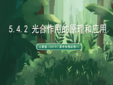 人教版（2019）高中生物必修一5.4.2 光合作用的原理和應(yīng)用 精講課件