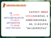 人教版（2019）高中生物必修一5.4.2 光合作用的原理和應(yīng)用 精講課件