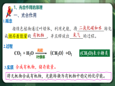 人教版（2019）高中生物必修一5.4.2 光合作用的原理和應(yīng)用 精講課件