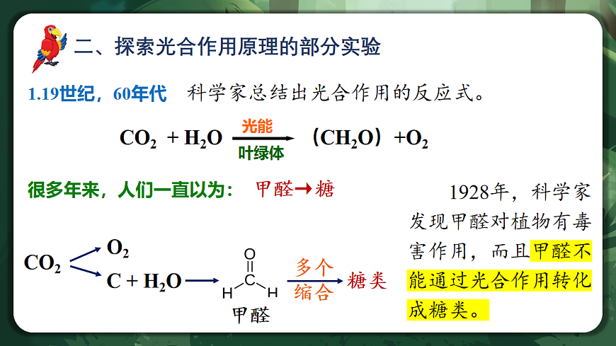 人教版（2019）高中生物必修一5.4.2 光合作用的原理和应用 精讲课件第6页