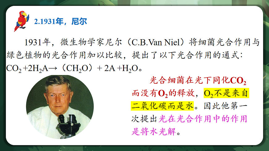 人教版（2019）高中生物必修一5.4.2 光合作用的原理和应用 精讲课件第7页