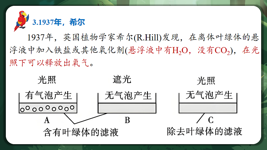 人教版（2019）高中生物必修一5.4.2 光合作用的原理和应用 精讲课件第8页