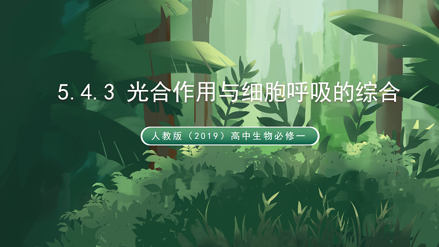 人教版（2019）高中生物必修一5.4.3 光合作用与细胞呼吸的综合 精讲课件第1页