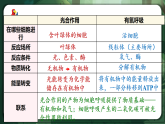 人教版（2019）高中生物必修一5.4.3 光合作用與細(xì)胞呼吸的綜合 精講課件