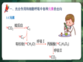 人教版（2019）高中生物必修一5.4.3 光合作用與細(xì)胞呼吸的綜合 精講課件