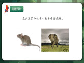 人教版（2019）高中生物必修一6.1 細(xì)胞的增殖 精講課件