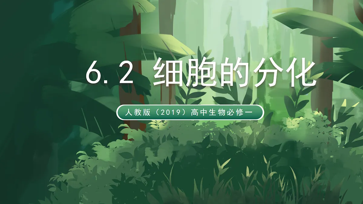 人教版（2019）高中生物必修一6.2 细胞的分化 精讲课件第1页