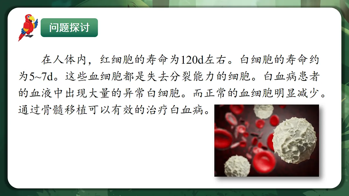 人教版（2019）高中生物必修一6.2 细胞的分化 精讲课件第4页