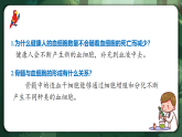 人教版（2019）高中生物必修一6.2 细胞的分化 精讲课件