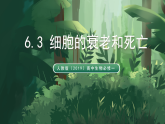 人教版（2019）高中生物必修一6.3 細(xì)胞的衰老和死亡 精講課件