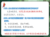 人教版（2019）高中生物必修一6.3 細(xì)胞的衰老和死亡 精講課件