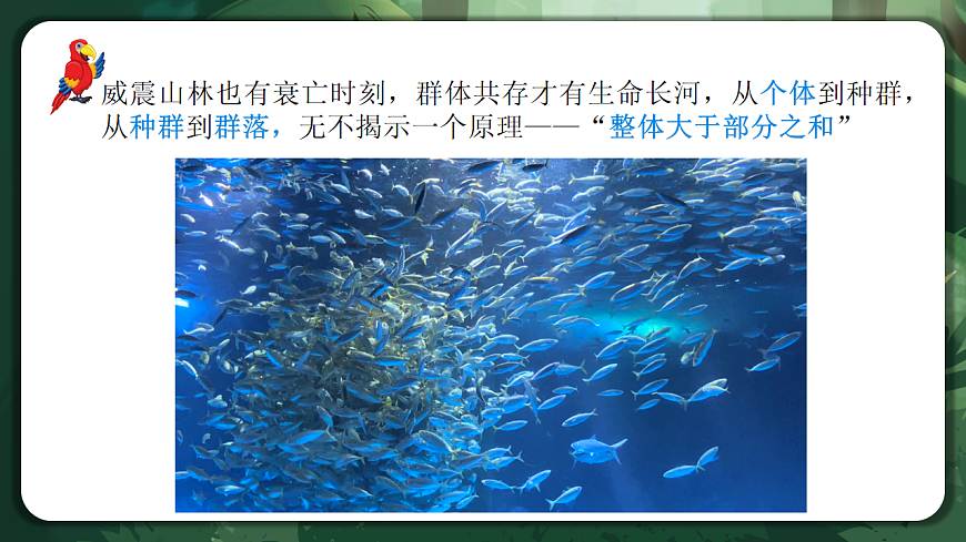 人教版（2019）高中生物选择性必修二1.1 种群的数量特征 课件第2页