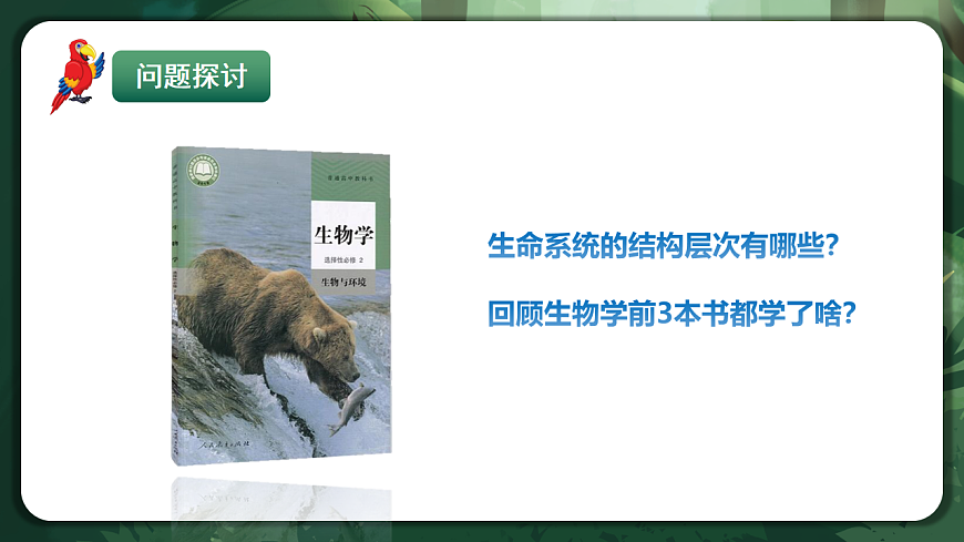 人教版（2019）高中生物选择性必修二1.1 种群的数量特征 课件第3页