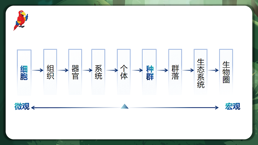 人教版（2019）高中生物选择性必修二1.1 种群的数量特征 课件第4页
