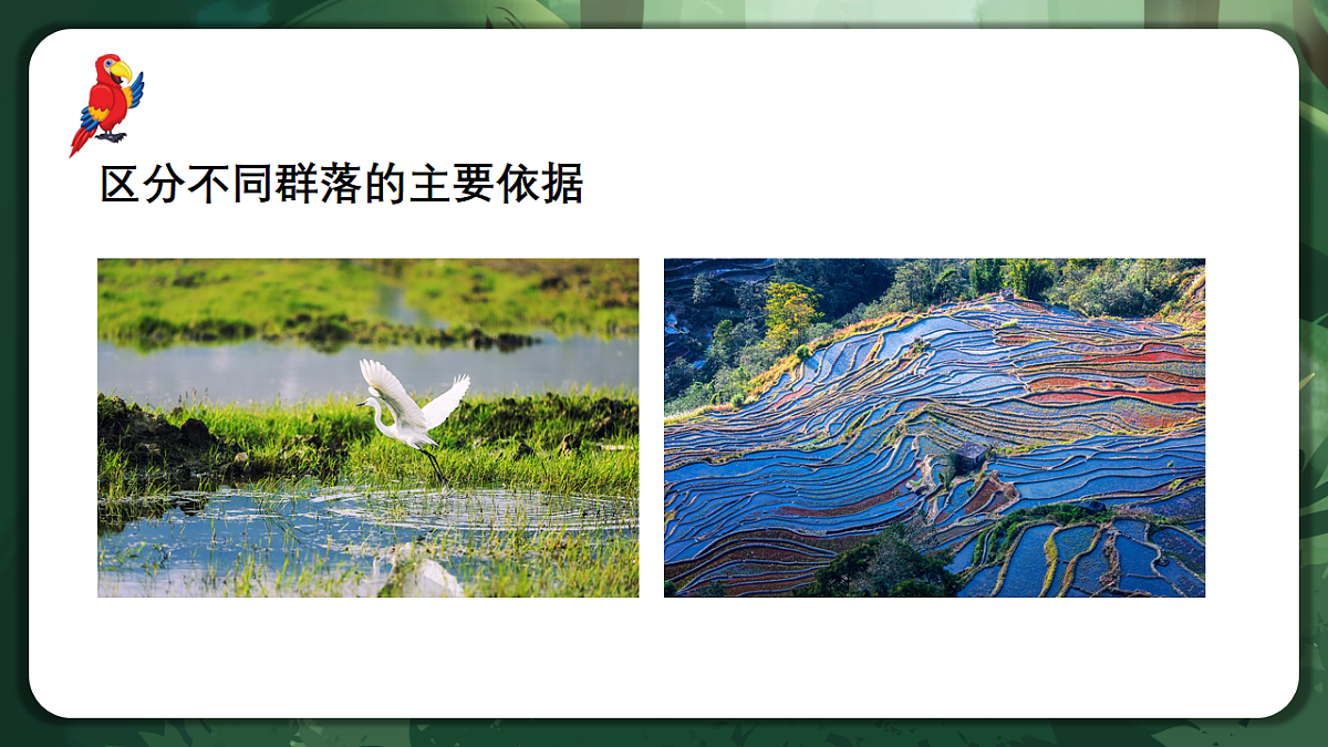 人教版（2019）高中生物选择性必修二2.2 群落的主要类型 课件第6页