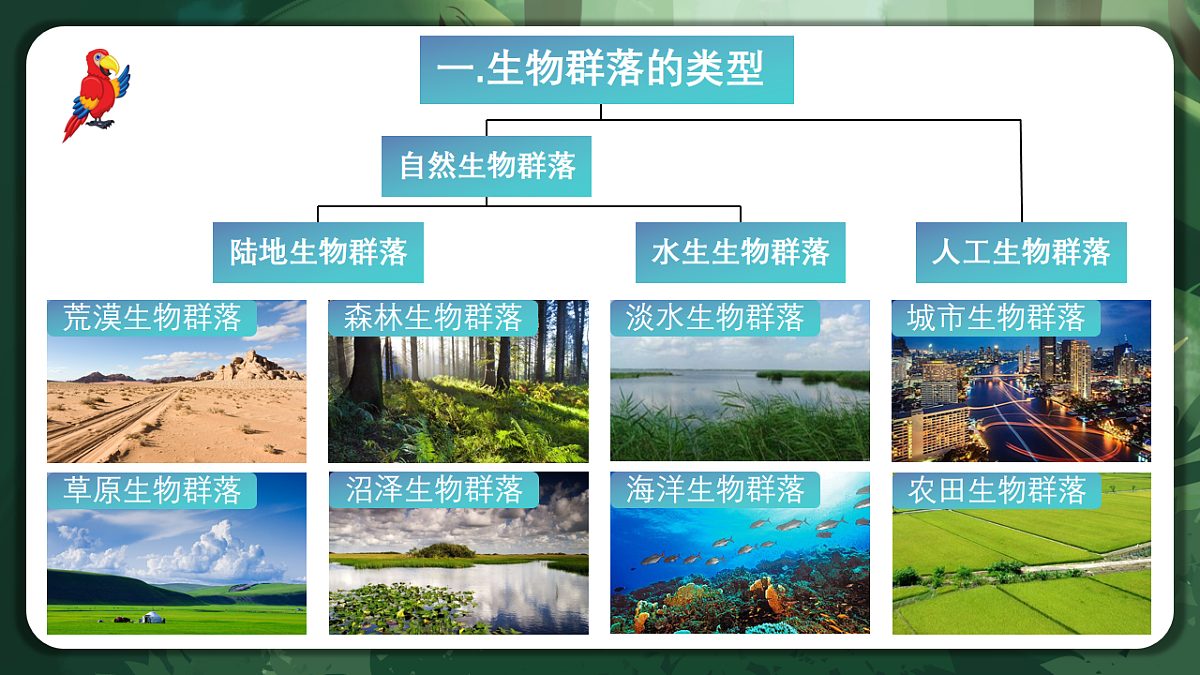人教版（2019）高中生物选择性必修二2.2 群落的主要类型 课件第8页