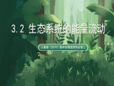 人教版（2019）高中生物选择性必修二3.2 生态系统的能量流动 课件
