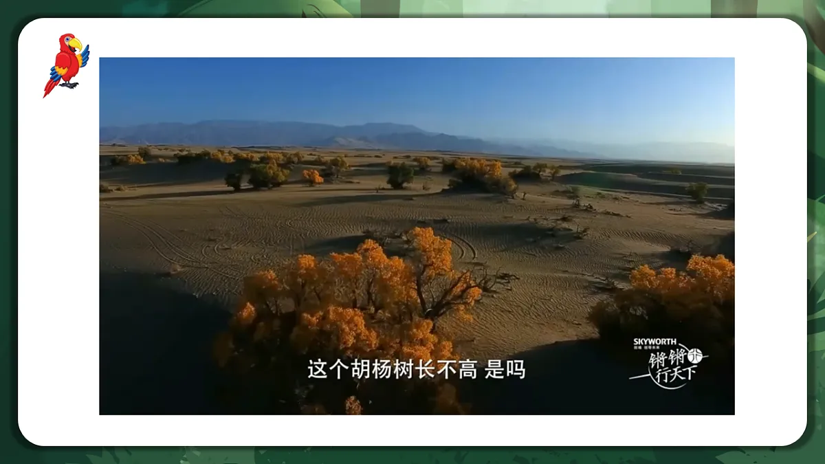 人教版（2019）高中生物选择性必修二3.3 生态系统的物质循环 课件第4页