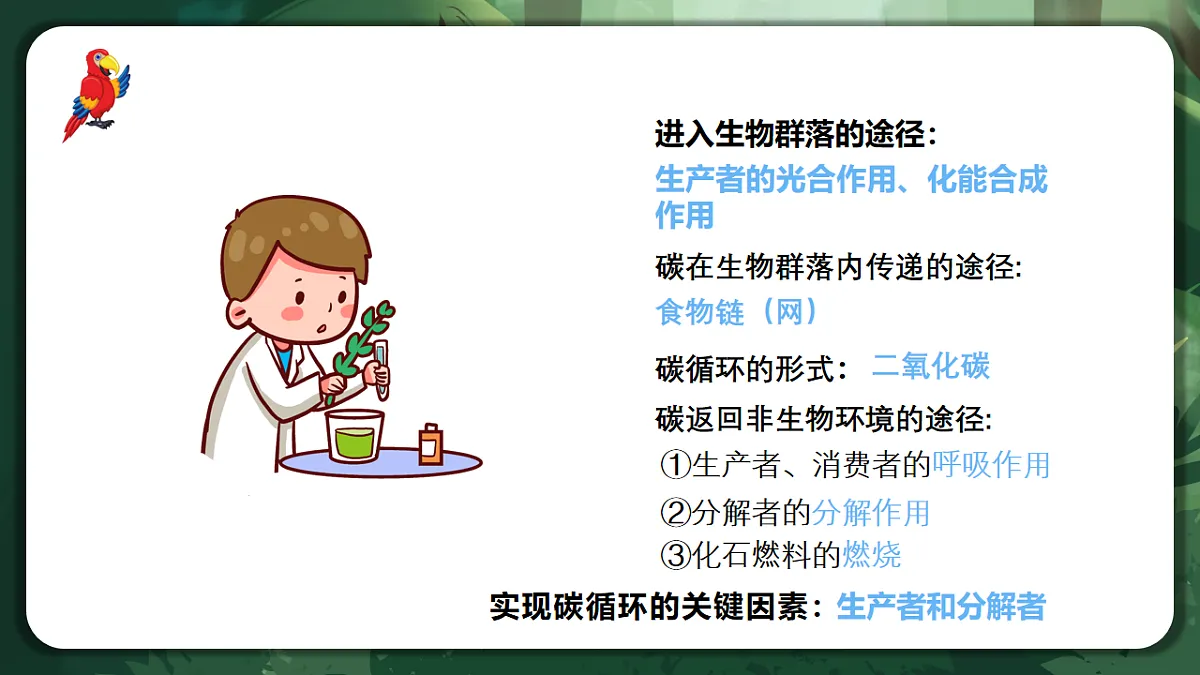 人教版（2019）高中生物选择性必修二3.3 生态系统的物质循环 课件第8页