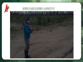 人教版（2019）高中生物選擇性必修二3.4 生態(tài)系統(tǒng)的信息傳遞 課件