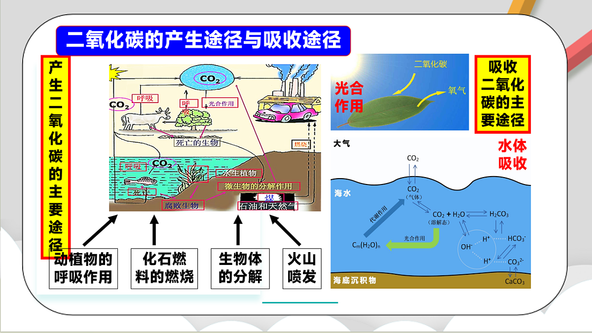 鲁教版（五四制）（2024）化学八年级全册 7.3《 碳达峰与碳中和》 课件第6页