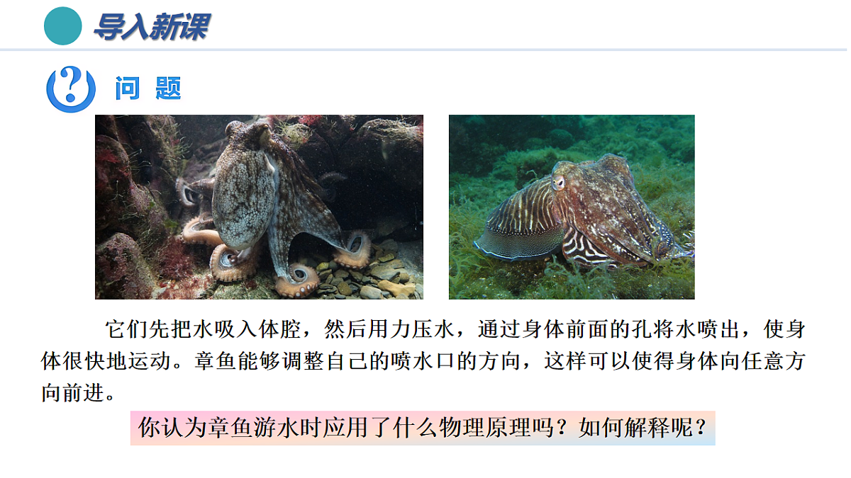 6.反冲现象 火箭（培优教学课件） -2025-2026学年高中物理选择性第一册（人教版2019）第2页