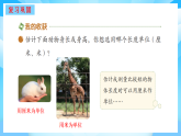 【核心素養(yǎng)】2025秋新北師大版小學數(shù)學二年級上冊 第二單元《2.4整理與復習》課件+教案（含教學反思）