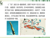 【任務型教學】修訂版統(tǒng)編語文八上4《“飛天”凌空》 課件+教案+導學案（師生版）+同步測試（含答案）