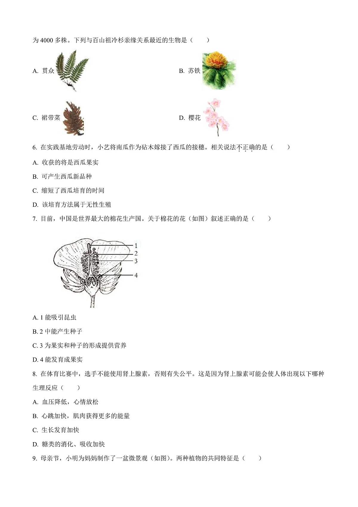 2025年山东省烟台市中考生物真题原卷第2页