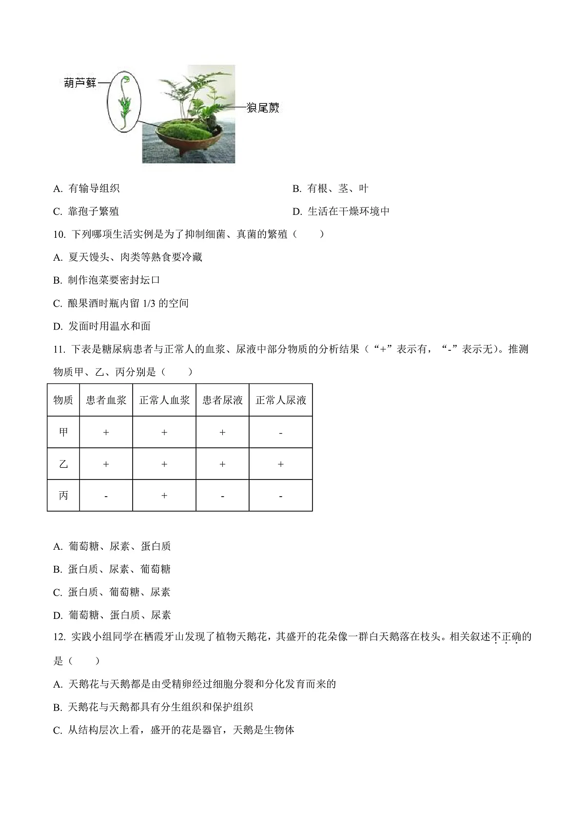 2025年山东省烟台市中考生物真题原卷第3页