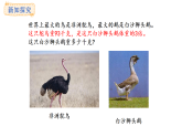 冀教版版數(shù)學(xué)三年級上冊4.2 口算除法（2）(課件)