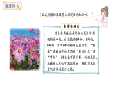 冀教版數(shù)學(xué)二年級(jí)上冊(cè)3.7   9的乘法口訣（課件）