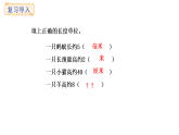 人教版數(shù)學三年級上冊3.2 分米的認識（課件）