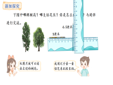 人教版數(shù)學三年級上冊5.2 比較線段的長短（課件）