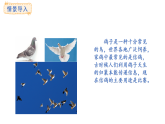 冀教版數(shù)學(xué)二年級上冊5.7 乘法、除法之間的聯(lián)系（課件）