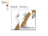西師大版數(shù)學(xué)二年級(jí)上冊(cè)3.5 發(fā)現(xiàn)身體上的尺子（課件）