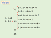2.11  整理與復習(課件)2025-2026學年冀教版三年級數(shù)學上冊