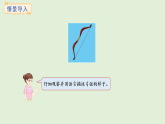 3.1  認(rèn)識線段、直線和射線(課件)2025-2026學(xué)年冀教版三年級數(shù)學(xué)上冊