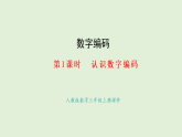 數(shù)字編碼第1課時(shí)  認(rèn)識(shí)數(shù)字編碼(課件)2025-2026學(xué)年人教版三年級(jí)數(shù)學(xué)上冊(cè)