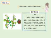 3.5 7的乘法口訣(課件)2025-2026學(xué)年冀教版二年級(jí)數(shù)學(xué)上冊(cè)