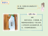 3.6 8的乘法口訣(課件)2025-2026學(xué)年冀教版二年級(jí)數(shù)學(xué)上冊(cè)
