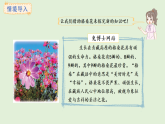 3.7 9的乘法口訣(課件)2025-2026學(xué)年冀教版二年級(jí)數(shù)學(xué)上冊(cè)