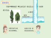 5.2  比較線段的長短(課件)2025-2026學年人教版三年級數(shù)學上冊