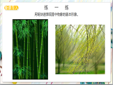 人美版美術(shù)九年級(jí)上冊(cè)第2課《線條的藝術(shù)表現(xiàn)力》課件