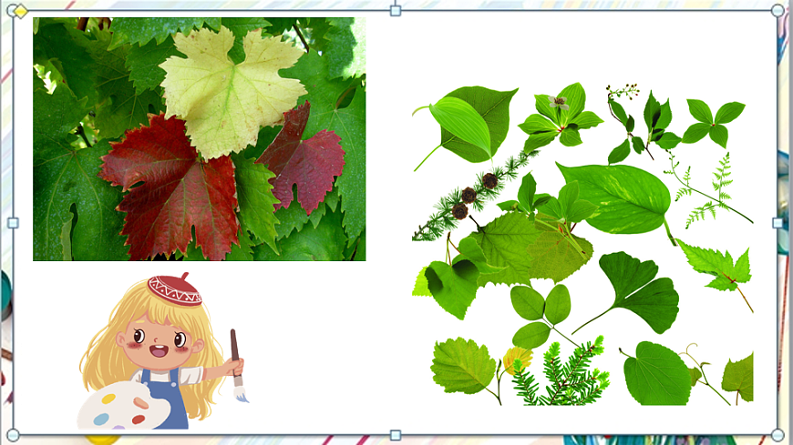 浙美版美术五年级上册第4课《好看的装饰画》课件第5页