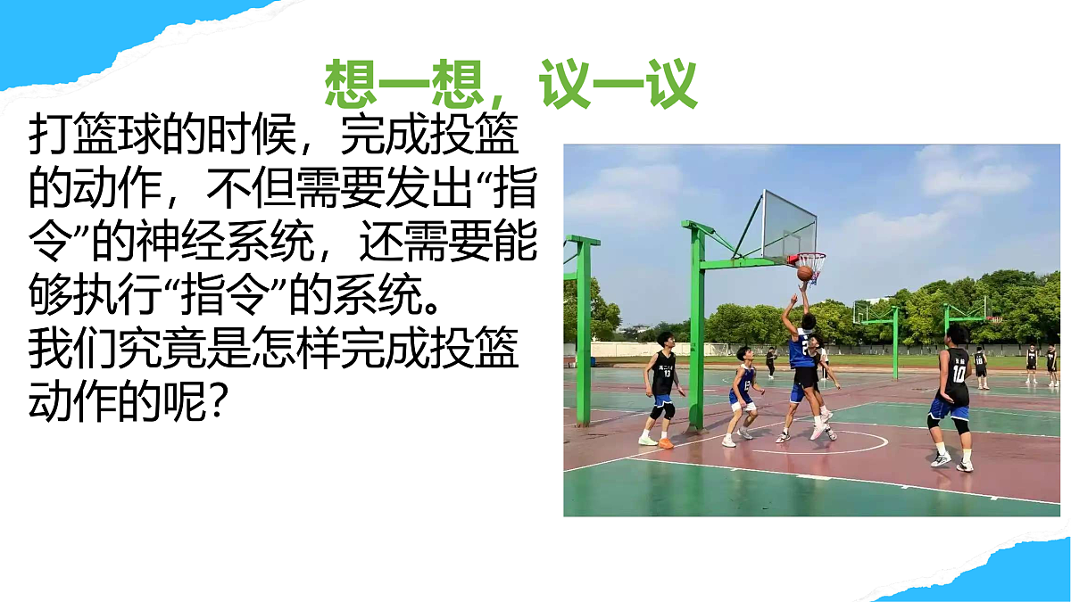 【核心素养】人教版初中生物八年级上册4.6.3《神经系统支配下的运动》课件第4页